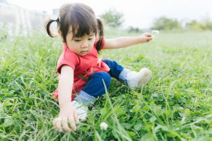 外国人社員が家族を呼びたい場合