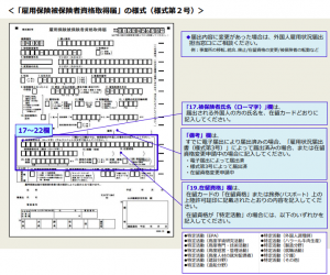 雇用保険被保険者資格取得届け見本