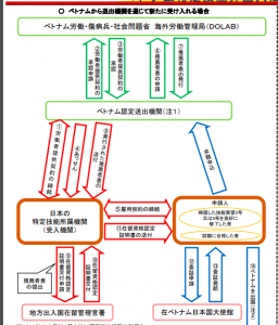 ベトナム特定技能外国人に係る手続の流れについて